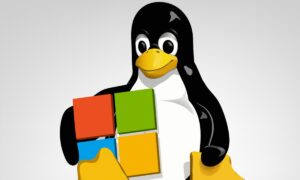 Lee más sobre el artículo Recuperar acceso a una cuenta con contraseña en Windows usando un sistema operativo Linux